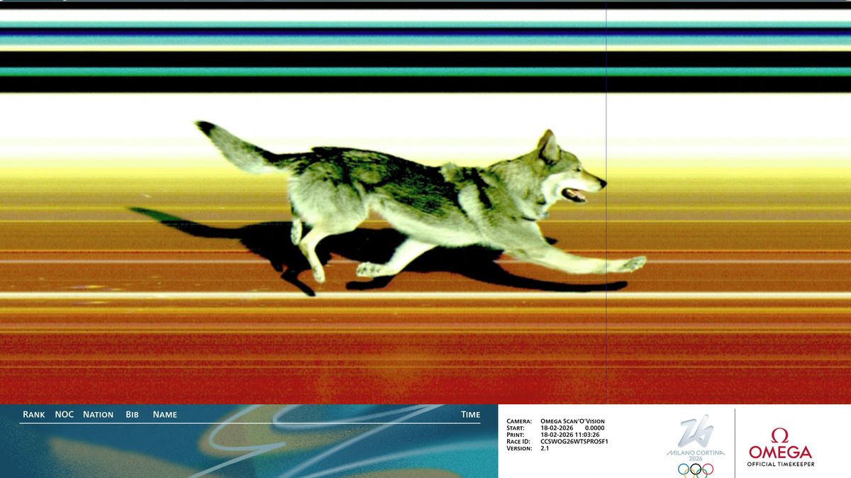 Československý vetřelec na cílové fotce. Pes na trati vyděsil závodnice a rozhodil pořadatele